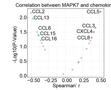 Open access visualization of Scatter Plot, Volcano Plot, Chemokines, Protein Expression, Kinase Activity