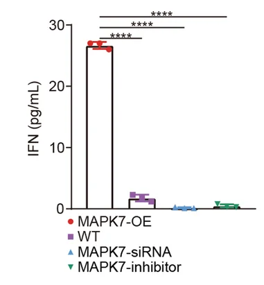 Open access visualization of Bar Plot, Error Bars, Histogram, IFN, Supernatant