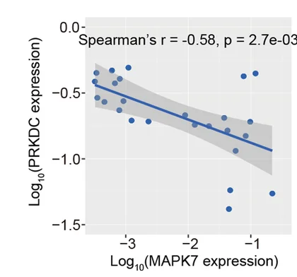 Open access visualization of Scatter Plot, Regression Plot, Spearman-Rank Correlation, MAPK7, Protein Expression
