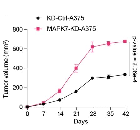 Open access visualization of Line Plot, Error Bars, Tumor Growth Curves