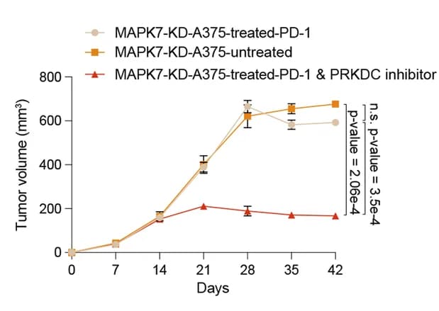Open access visualization of Line Plot, Error Bars, Tumor Growth Curves