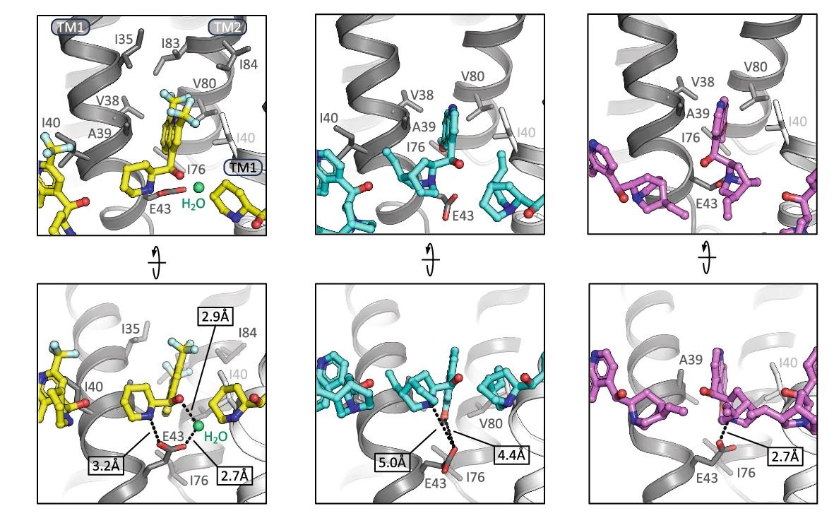Open access visualization of Protein Structure, Chemical Structure, Binding Site, Residues