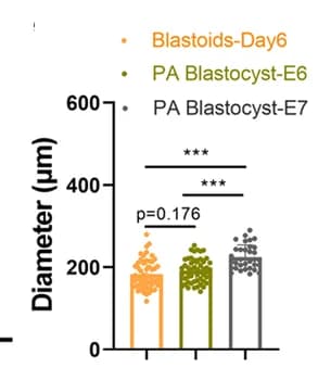 Open access visualization of Bar Plot, Scatter Plot, Porcine Blastoids, Porcine PA Blastocysts, Diameter