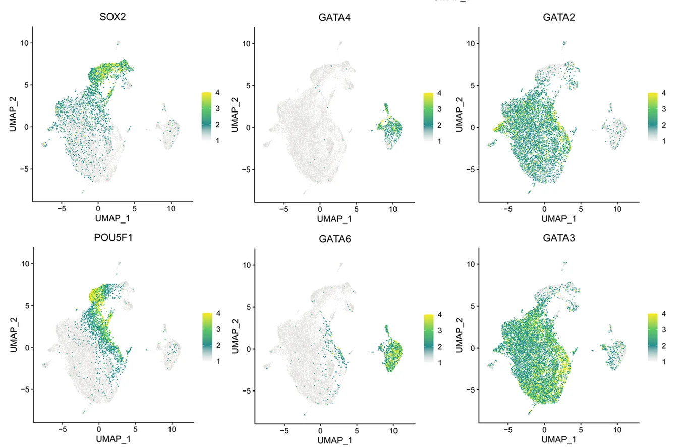 Open access visualization of Scatter Plot, UMAP, EPI Markers, HYPO Markers, TE Markers
