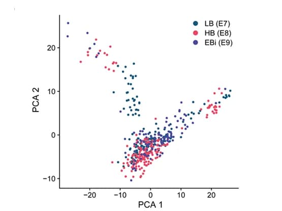 Open access visualization of Scatter Plot, PCA, Late Blastula, Hatched Blastula, Early Bilaminar Embryo