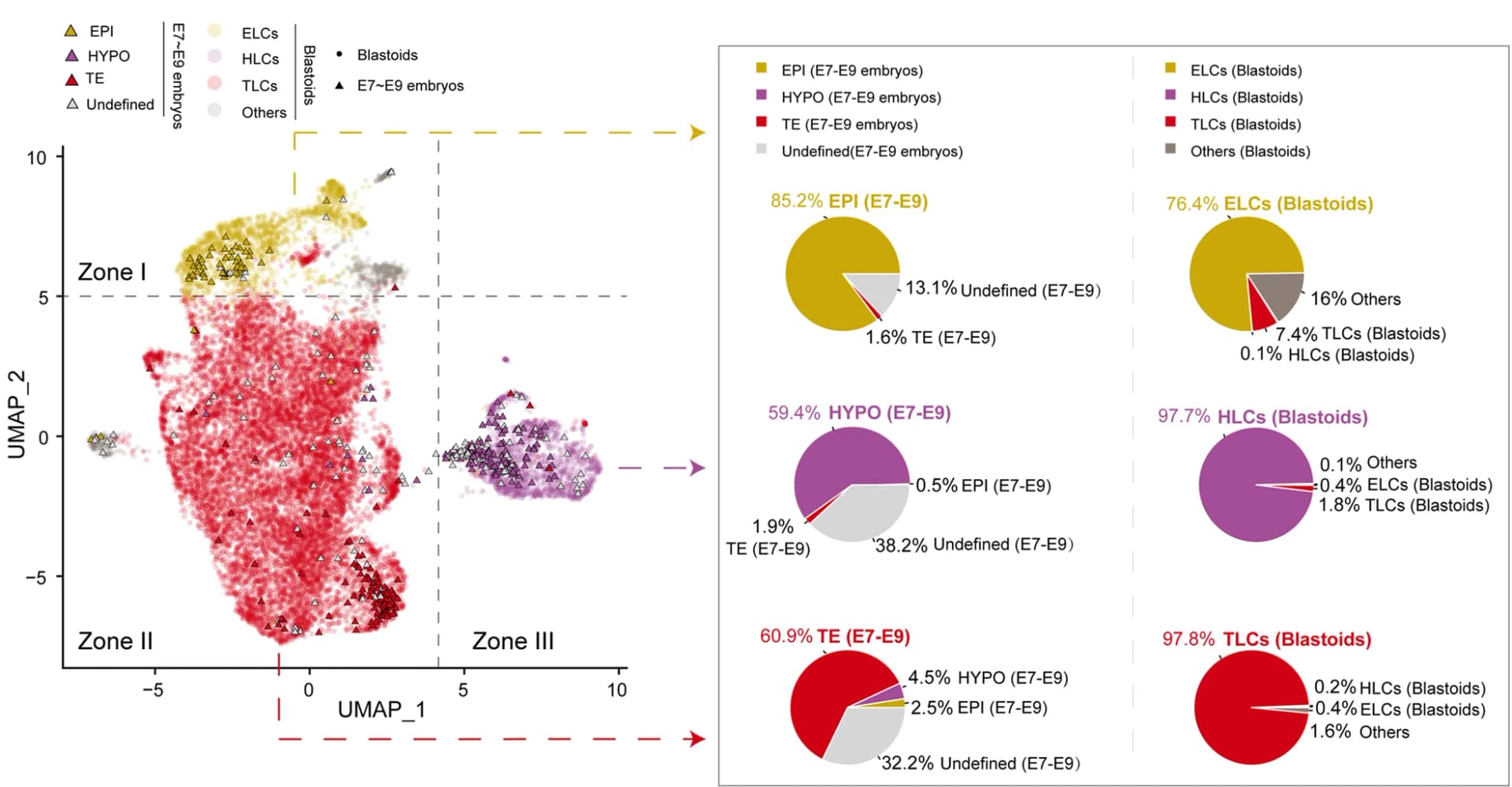 Open access visualization of UMAP, Scatter Plot, Pie Chart, Donut Chart, UMAP Plot