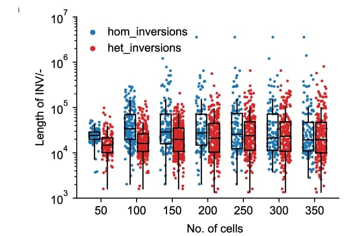 Open access visualization of Box Plot, Scatter Plot, Raincloud Plot, Ideogram Plot, Inversions