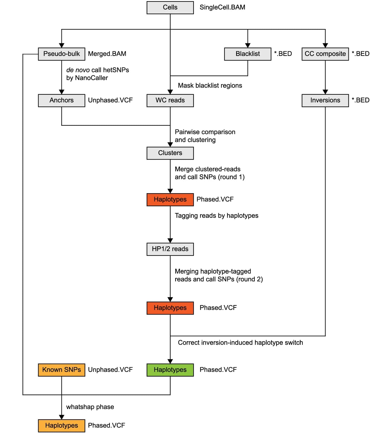 Open access visualization of Workflow, Flowchart, Haplotype Reconstruction, SNPs, Reference Genome