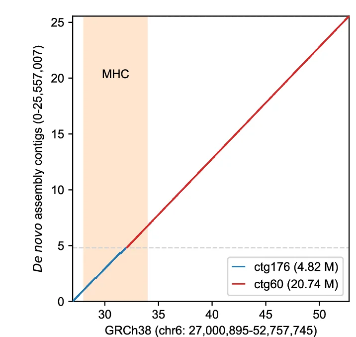 Open access visualization of Line Plot, MHC assemblies, GRCh38, Contigs, MHC region
