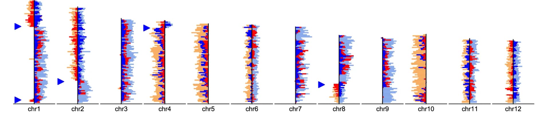 Open access visualization of Bar Plot, Histogram, NanoStrand-seq, Mouse Cells, Template Strand Inheritance