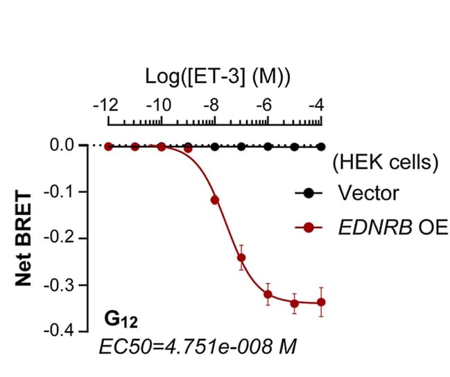Open access visualization of Line Plot, Error Bars, ET-3, G12-RLuc8/Gβ3γ9-GFP2, G13-RLuc8/Gβ3γ9-GFP2