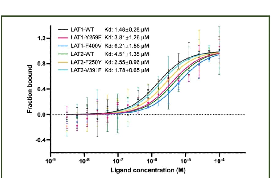 Open access visualization of Line Plot, Error Bars, Binding Affinity, JPH203, LAT1