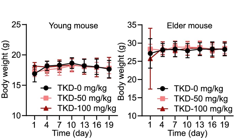 Open access visualization of Line Plot, Error Bars, Body Weight, Mouse Model, Age Comparison