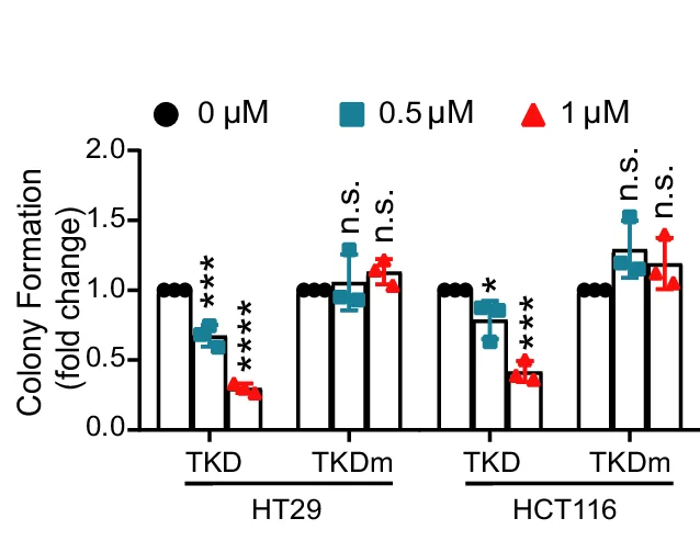 Open access visualization of Bar Plot, Error Bars, Scatter Plot, HT29 Cells, HCT116 Cells