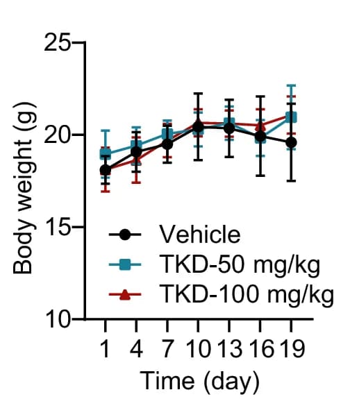 Open access visualization of Line Plot, Error Bars, Mouse, Body Weight, TKD