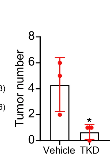Open access visualization of Bar Plot, Error Bars, Scatter Plot, Tumor Number, iKAP Mice