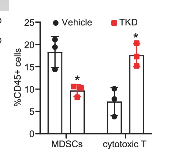 Open access visualization of Bar Plot, Error Bars, MC38K Cells, Cecal Transplantation, CRC Mice