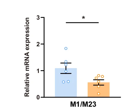 Open access visualization of Bar Plot, Error Bars, Scatter Plot, M1/M23 ratio, Light Flickering
