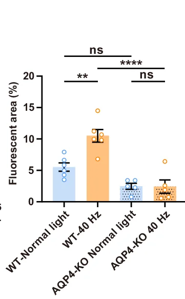 Open access visualization of Bar Plot, Error Bars, Scatter Plot, Y39-1 MPI, Intracisternal Injection
