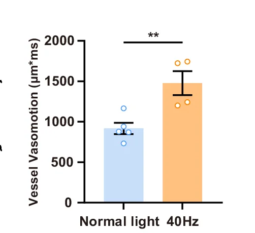 Open access visualization of Bar Plot, Scatter Plot, Error Bars, Vasomotion, Arteries