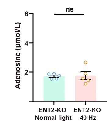 Open access visualization of Bar Plot, Error Bars, Scatter Plot, Extracellular Adenosine, UPLC