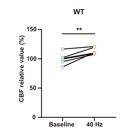 Open access visualization of Line Plot, Scatter Plot, Cortical Cerebral Blood Flow, WT Mice, A2AR-KO Mice