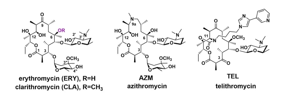 Open access visualization of Chemical Structure, Erythromycins, Structures, First-generation, Second-generation
