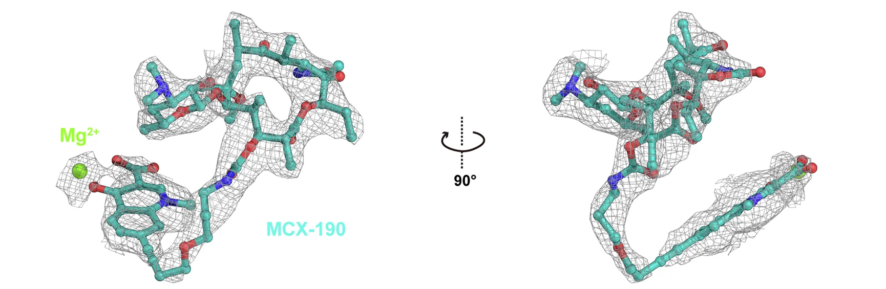 Open access visualization of Protein Structure, Chemical Structure, MCX-190, Magnesium Ion, Ribosome