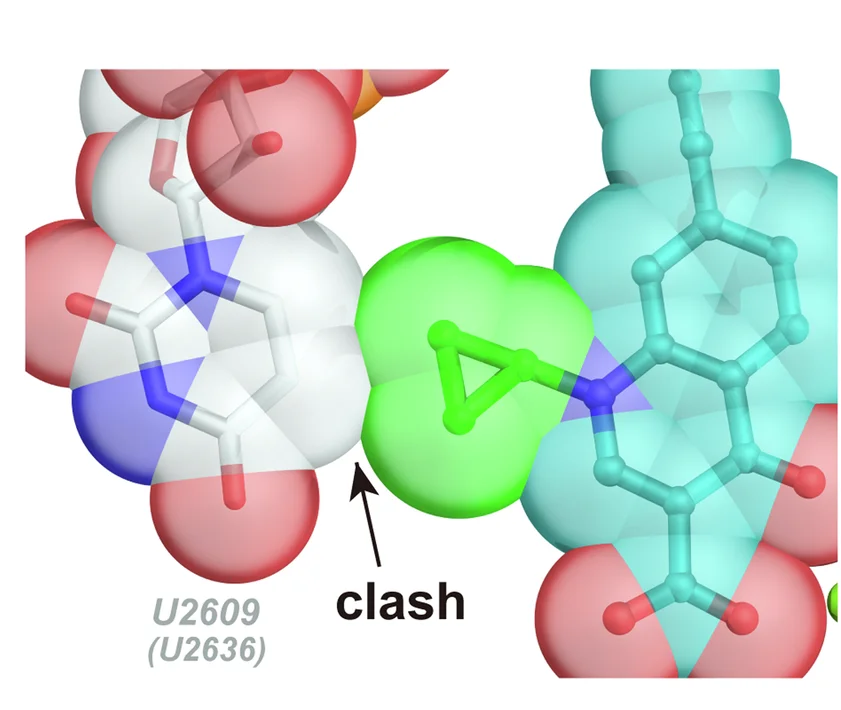 Open access visualization of Protein Structure, Chemical Structure, Cyclopropyl Group, Quinolone, Steric Clashes