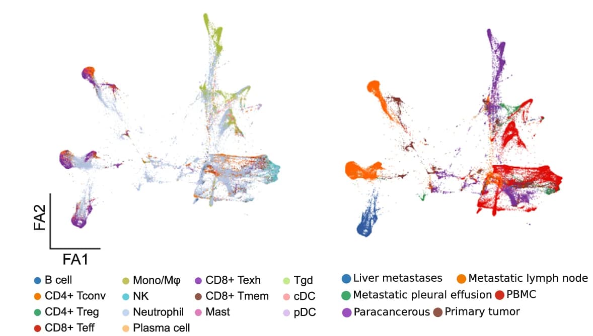Open access visualization of Scatter Plot, UMAP, PCA, PAGA Graph, Immune Cell Types