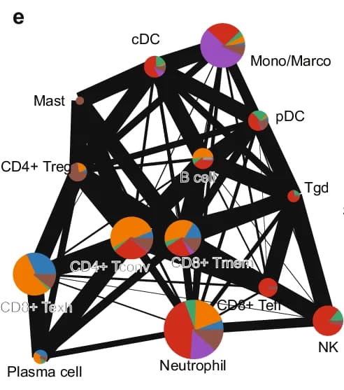 Open access visualization of Network, Chord, Pie Chart, Cancer Cells, Immune Cells