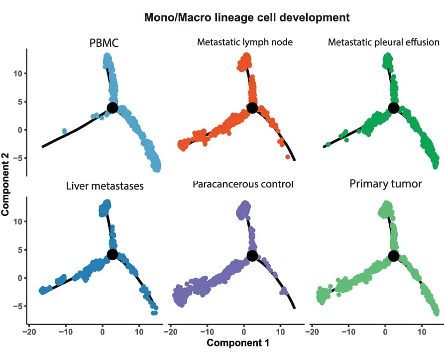 Open access visualization of Scatter Plot, Line Plot, DDRTree Clustering, Mono/Macro Cells, DEGs