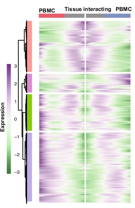 Open access visualization of Heatmap, Clustered, Differentially Expressed Genes, Mono/Macro Cells, PBMC-enriched Trajectories
