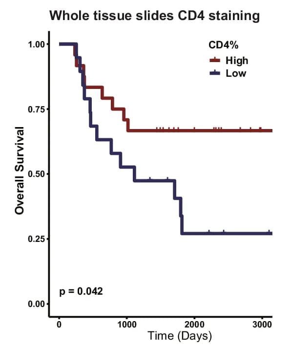 Open access visualization of Survival Curve, Line Step, Kaplan-Meier Survival Curves, LS-SCLC Patients, CD4 Expression