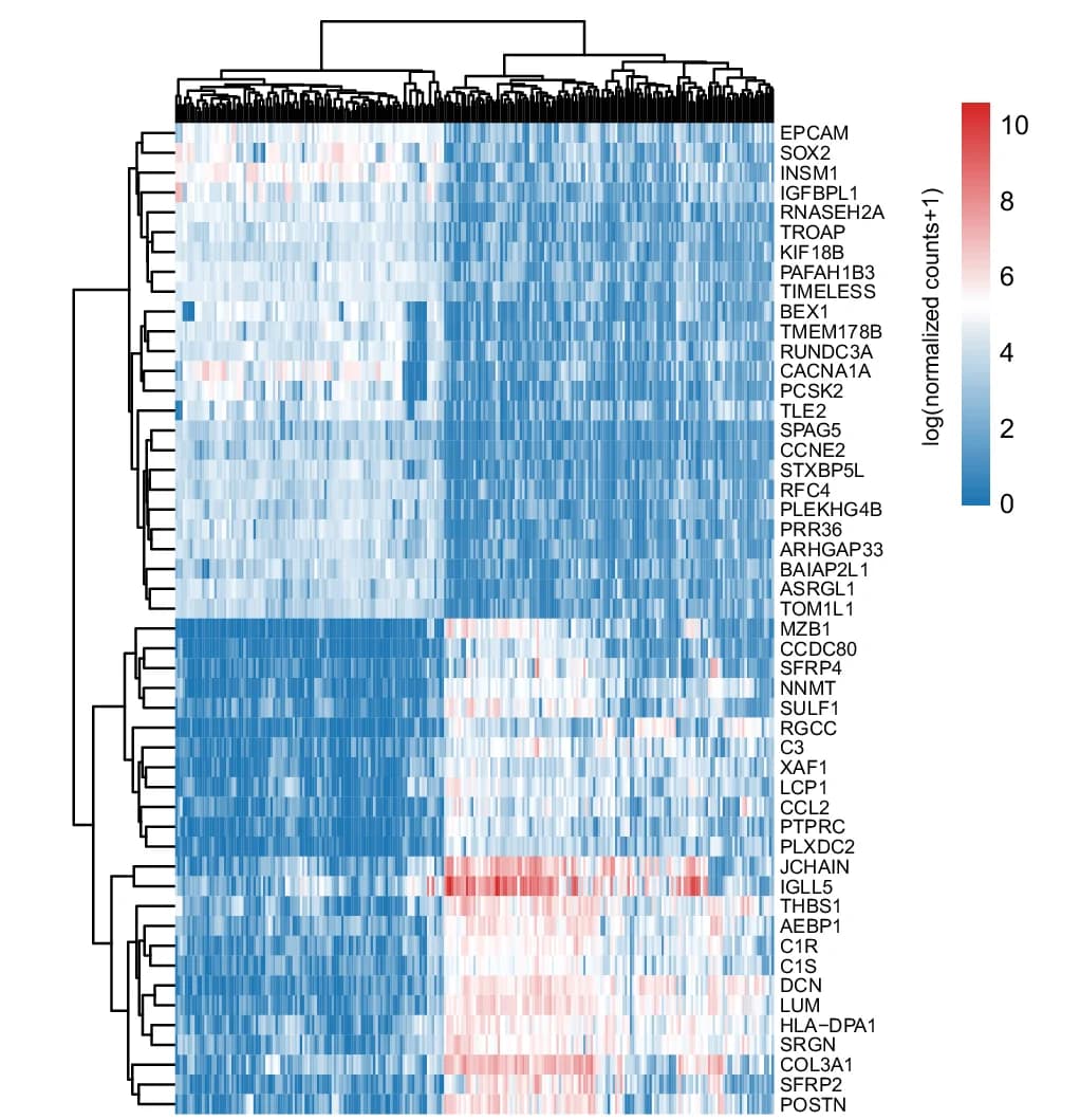Open access visualization of Heatmap, Clustered, Differentially Expressed Genes, Immune-Related Genes, GO_Immune Dataset