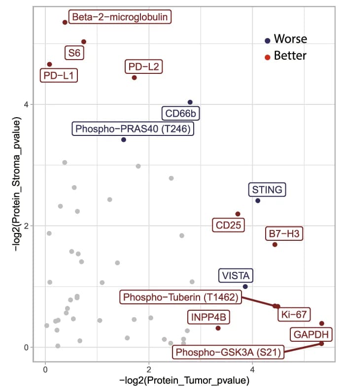 Open access visualization of Volcano Plot, Scatter Plot, Protein Levels, Tumor Stroma, Tumor Nest