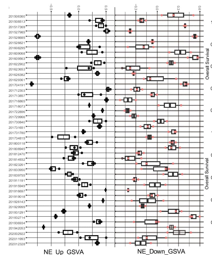 Open access visualization of Box Plot, Scatter Plot, GSVA Analysis, NE Marker Gene Expression, Tumor Nest
