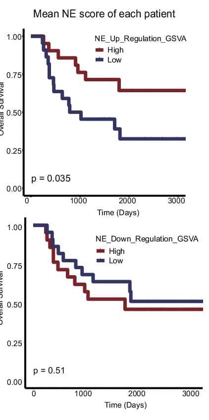 Open access visualization of Survival Curve, Line Step, Kaplan-Meier Survival Curves, LS-SCLC Patients, NE Scores