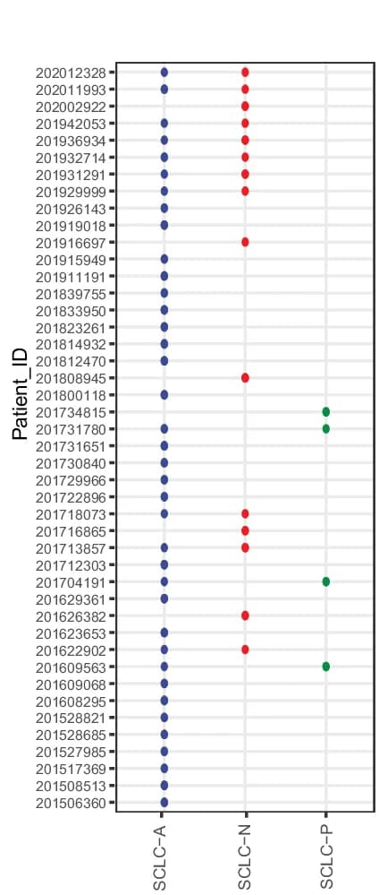 Open access visualization of Scatter Plot, Intra-Tumor Heterogeneity, SCLC Molecular Subtypes, ROIs, LS-SCLC