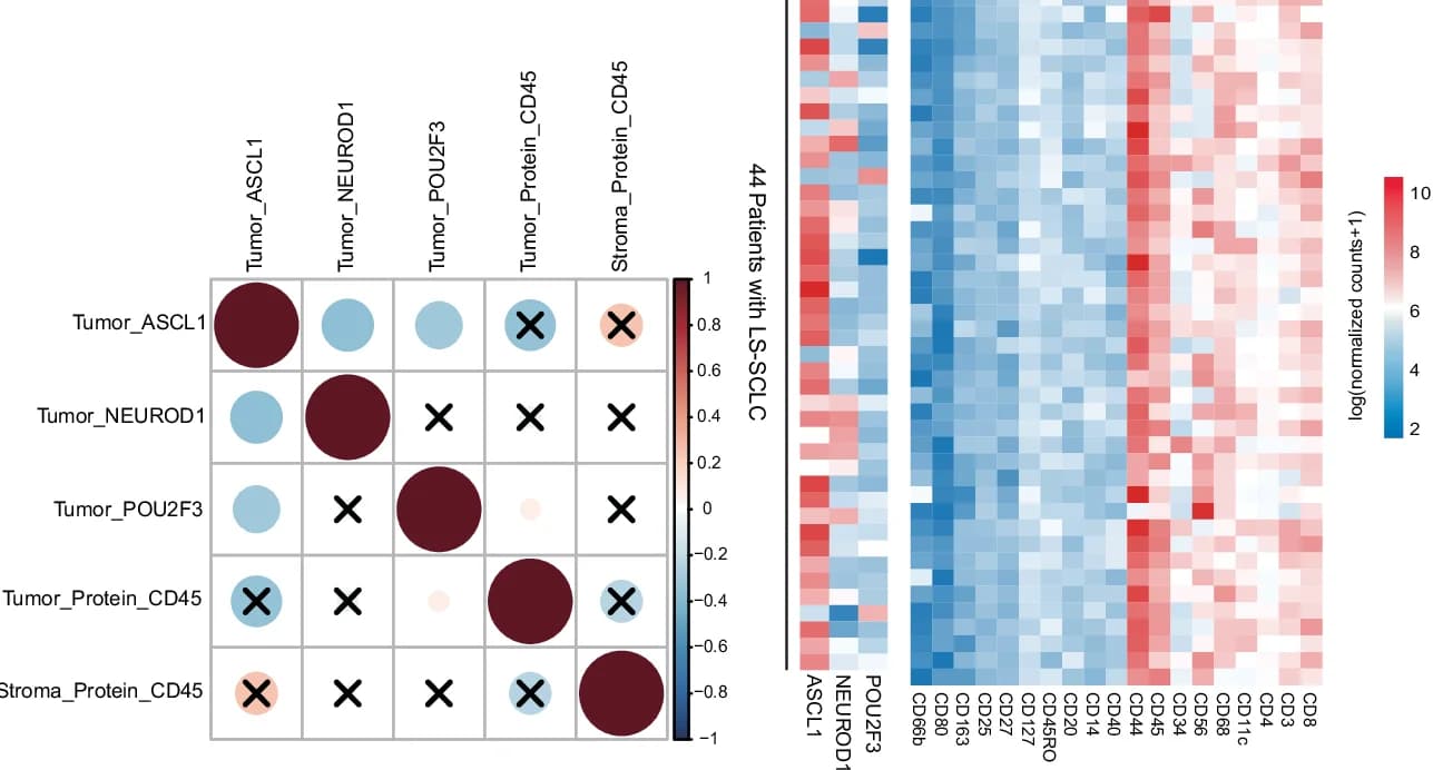 Open access visualization of Heatmap, Scatter Plot, Bubble Plot, Spearman Correlation Coefficients, CD45 Protein