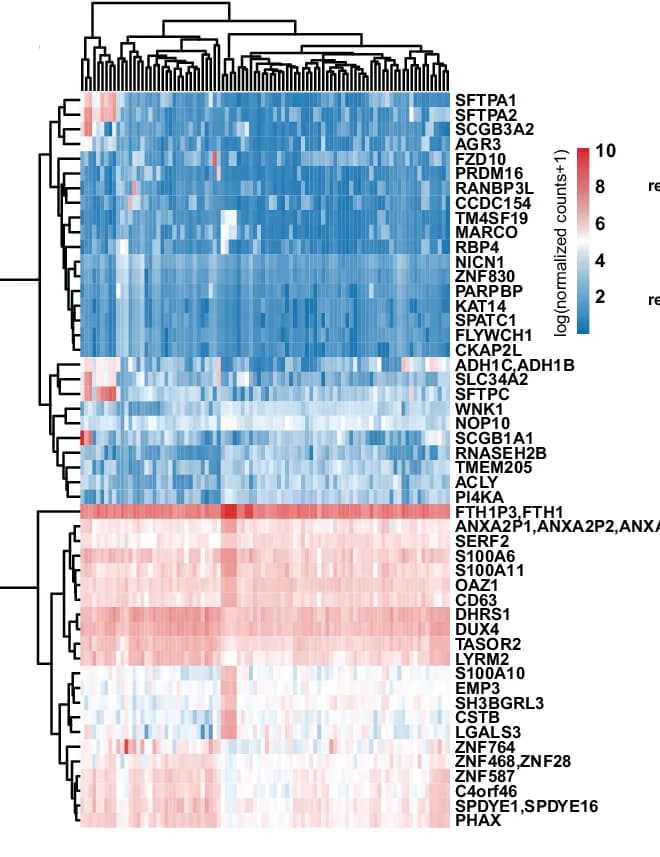 Open access visualization of Heatmap, Clustered, Genes, Pseudo-Time, Heatmaps