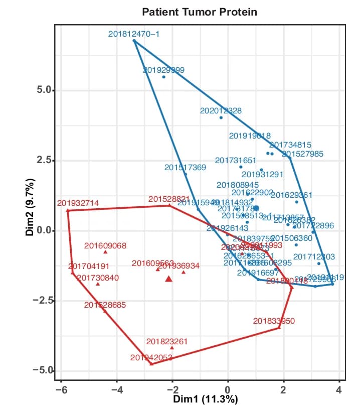Open access visualization of Scatter Plot, PCA, K-means Clustering, Protein Levels, Tumor ROIs