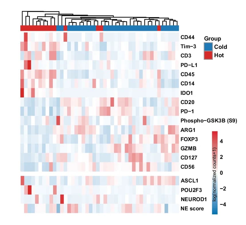 Open access visualization of Heatmap, Clustered, Proteins, Differentially Expressed, K-means Clustering