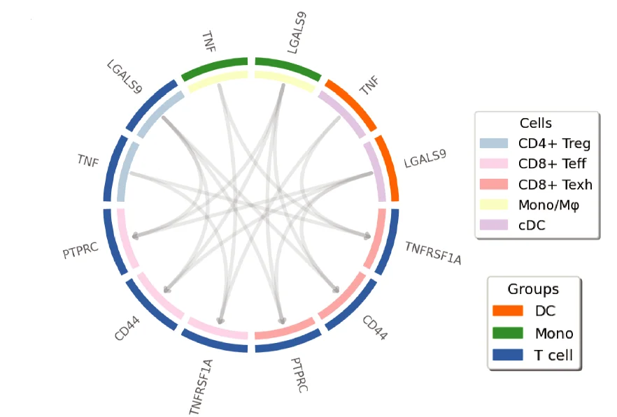 Open access visualization of Chord, Communication Scores, Ligand-Receptor Pairs, Cell-Cell Interactions