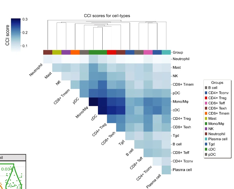 Open access visualization of Heatmap, Clustered, CCI Scores, Cell Type Pairs, Ligand-Receptor Pairs