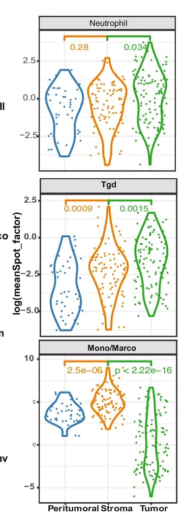 Open access visualization of Violin Plot, Scatter Plot, Immune Subsets, Spatial Locations, Abundance