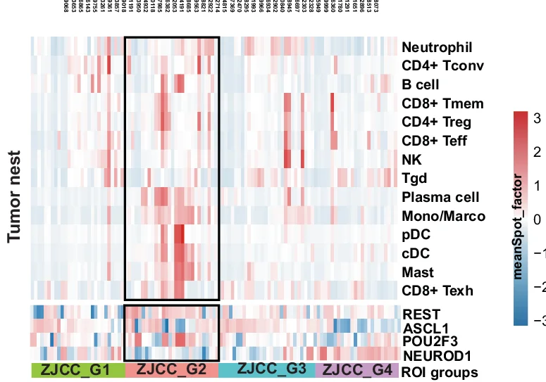 Open access visualization of Heatmap, NMF, Immune Cell Infiltration, ROI