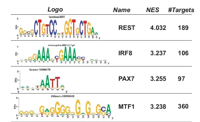 Open access visualization of Illustration, Transcription Factors, Regulatory Genes, ROIs