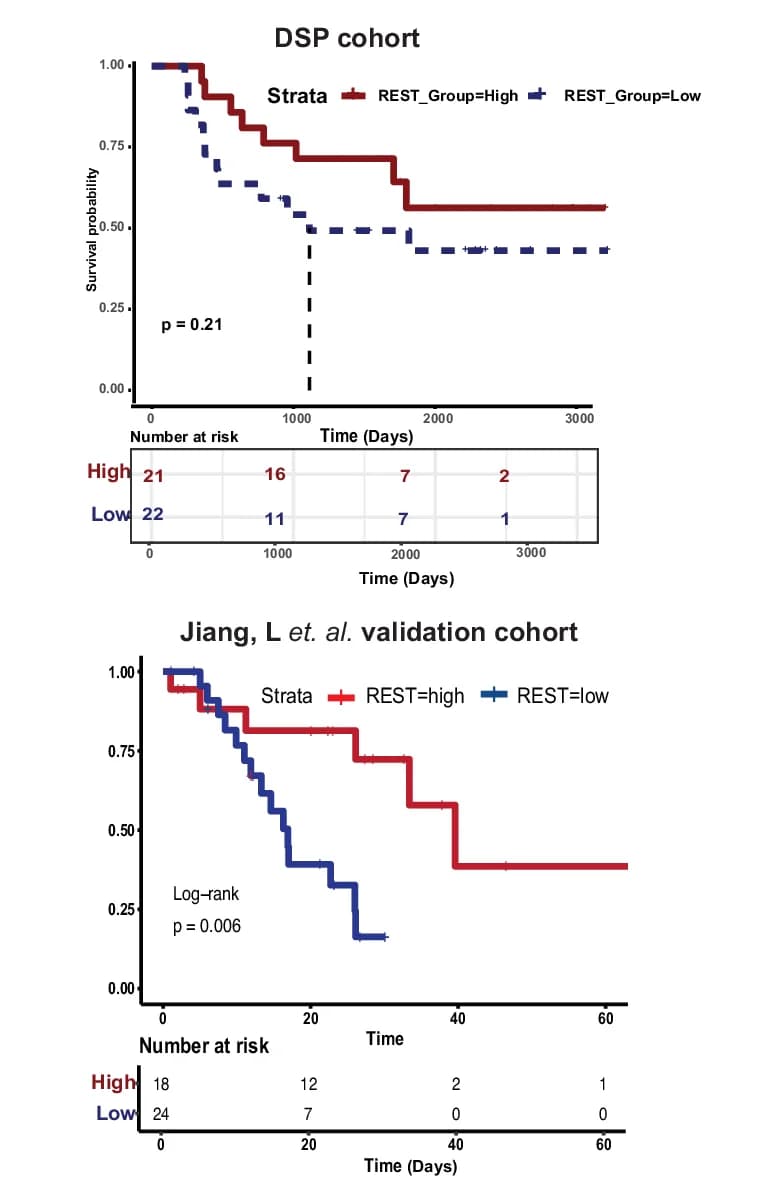 Open access visualization of Survival Curve, Line Step, Table Image, Kaplan-Meier Survival Curves, LS-SCLC Patients