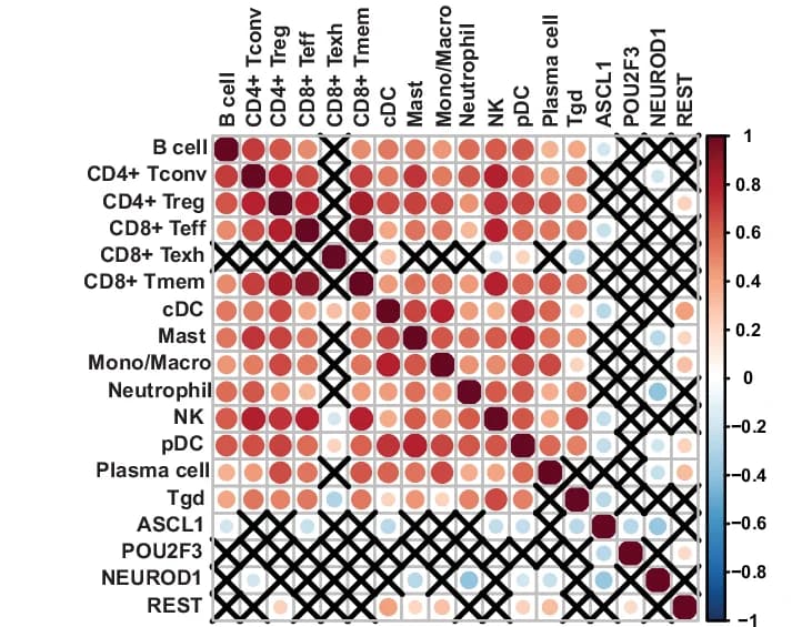 Open access visualization of Heatmap, Spearman Correlation, Molecular Subtyping, ASCL1, POU2F3